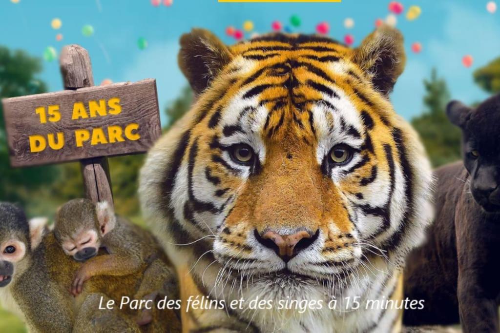 Cocon A La Campagne - Disney 20 Min - Paris 40 Min - 2 Terrasses Dammartin-sur-Tigeaux Exteriér fotografie